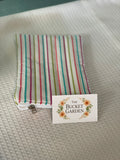 Kindle/Book Zippered Pouch - Rainbow Stripe - Small