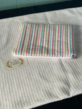 Everyday Zippered Pouch - Rainbow Stripe - Medium